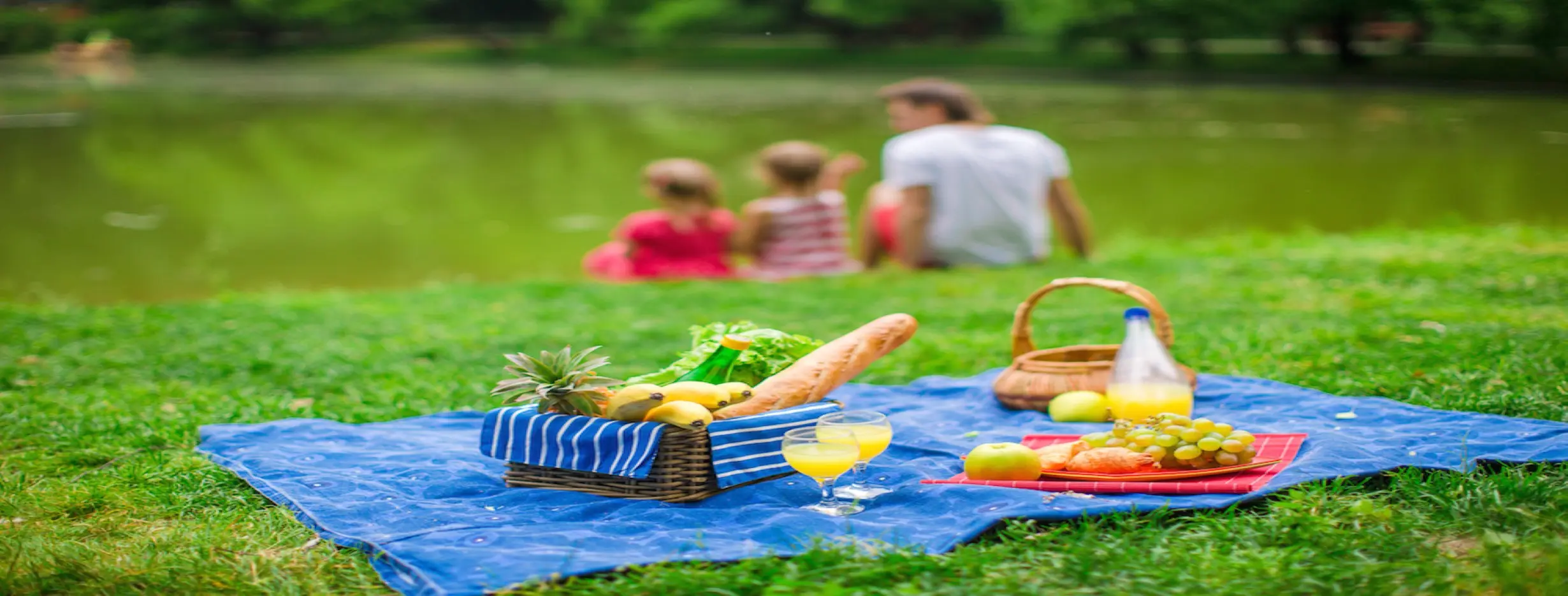 Image for Grassland Picnic